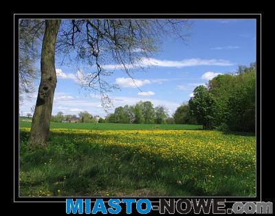 album10_Maj_011.jpg