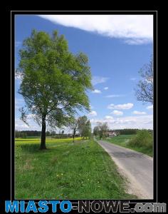 album10_Maj_009.jpg
