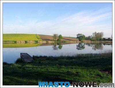 album10_IMG_0650.jpg