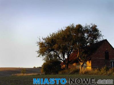 album10_dom_PIC00284x1.JPG