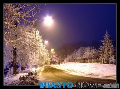 album33_IMG_8437.JPG