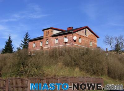 album4_img_0007.jpg