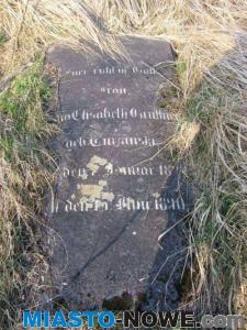 album12_img_0029.jpg