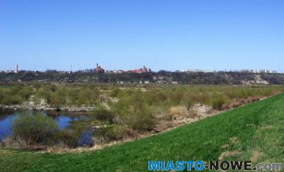 album4_img_0007_1.jpg