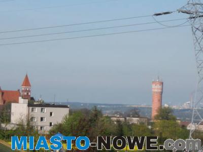 album4_img_0403.jpg