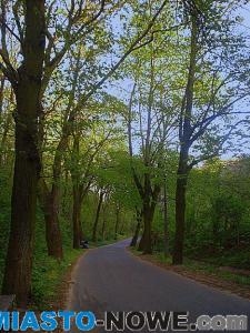 album4_dsc07859.jpg