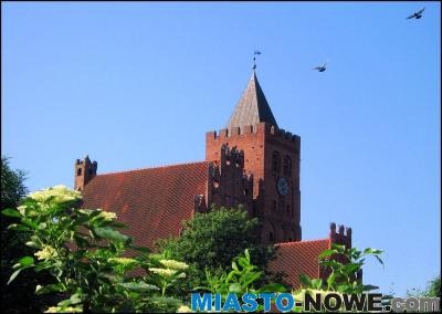 album4_img_8277.jpg