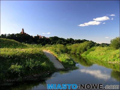 album4_img_0401a.jpg