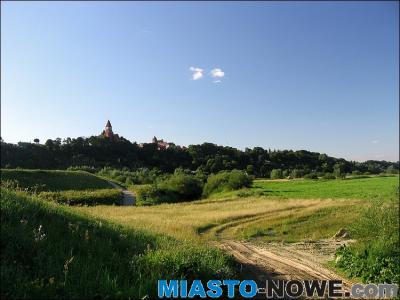 album4_img_0413.jpg