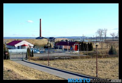 album4_dsc_0309_1.jpg