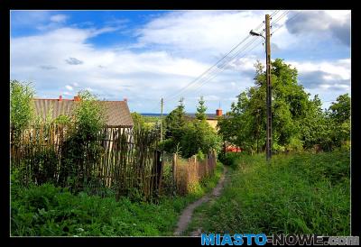 album4_dsc_0033_1.jpg