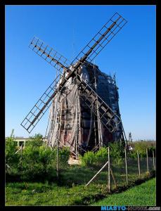 album4_dsc_04601_1.jpg