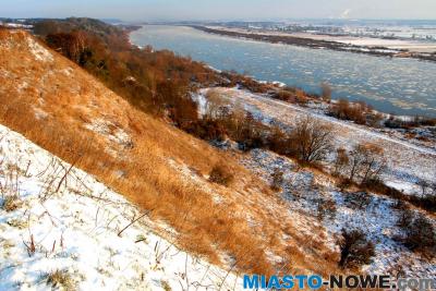 dsc_0005_20100118.jpg