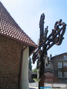 img_8927bfg.jpg