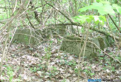 dscn3747.jpg