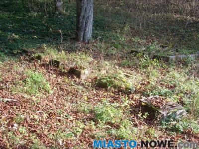 dscn4856.jpg