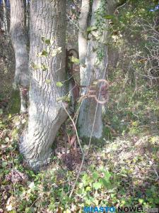 dscn4832.jpg
