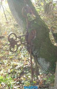 dscn4833.jpg