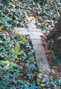 dscn4849.jpg