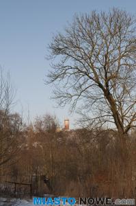 dsc_0215.jpg