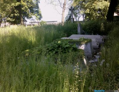 wp_0017441.jpg