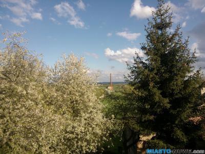 wp_00171611111111.jpg